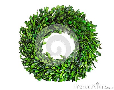 Wreath made of boxwood leaf wreath on white background Stock Photo