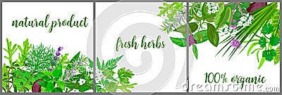 Wreath made of Realistic herbs and flowers with text. Herbs and Spices shop logo Vector Illustration