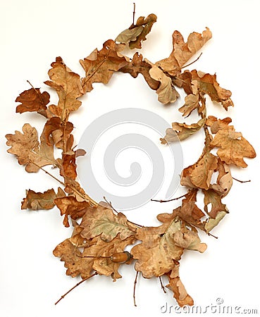 wreath oak Stock Photo