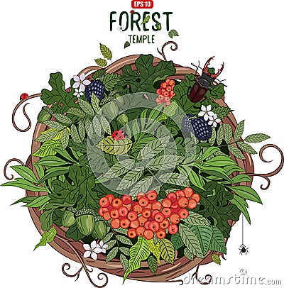 A wreath of rattan in the leaves and beetle deer Cartoon Illustration