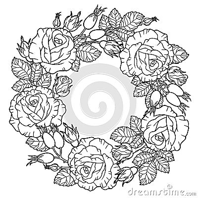 A wreath of rose flowers, berries, intertwined branches and leaves. Vector coloring book for adults Vector Illustration