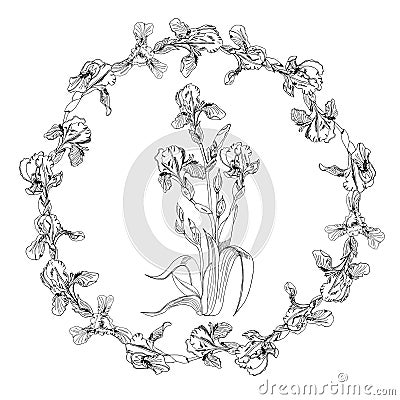 Wreath of single buds of iris flowers and boquet of irises. Hand drawn ink sketch. Set of monochrome objects Vector Illustration