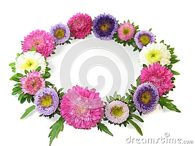 Wreath from small asters Stock Photo