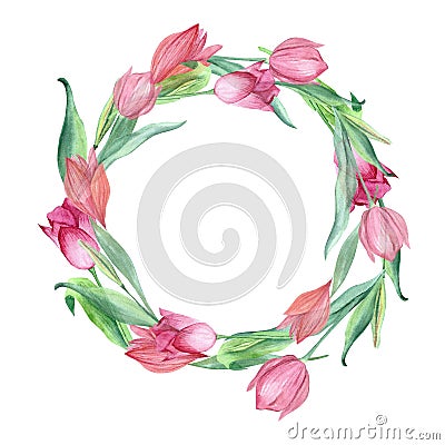 A wreath of tulips painted in watercolor Stock Photo