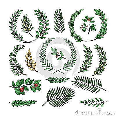 Wreath vector tree branch herald wreathed decoration with wreathen olive leaves and wreathed flaurel decor illustration Vector Illustration