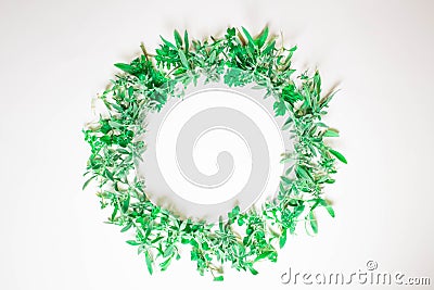 A wreath of violets on a white background. Round frame of purple flowers and fresh grass. Summer flowers. Flat lay, top view. Stock Photo