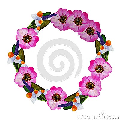 Illustration of wreath with wild rose, camomile, sage Cartoon Illustration