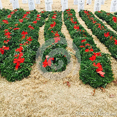 Wreaths in veterans cemetery Editorial Stock Photo