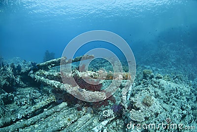 Wrecked remains of a shipwreck. Stock Photo