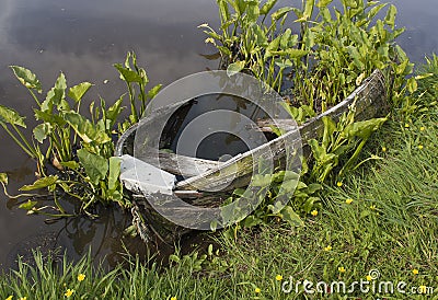 Wrecked row boat in pond Stock Photo