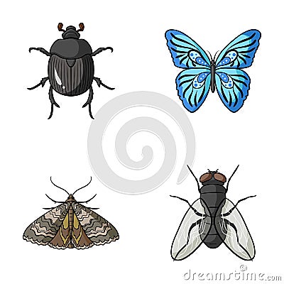 Wrecker, parasite, nature, butterfly .Insects set collection icons in cartoon style vector symbol stock illustration web Vector Illustration