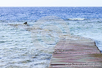 Wrecks of old sunken wooden pier on the Red sea Stock Photo