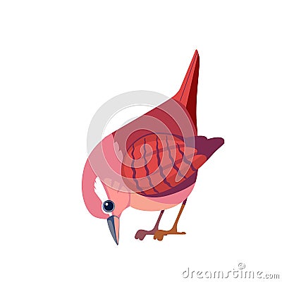 Wren bird. Cartoon flat beautiful character of ornithology, vector illustration isolated on white background. Tiny Vector Illustration