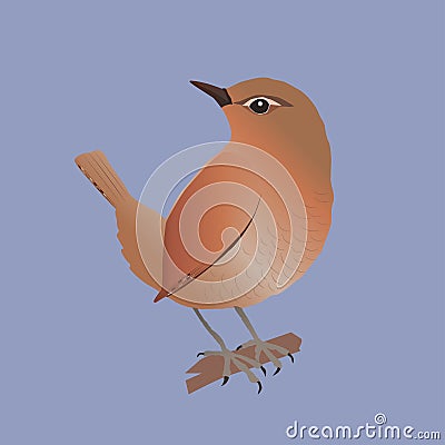 Wren vector illustration Vector Illustration