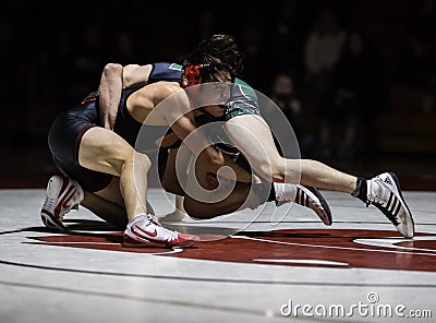 Wrestling for the Championship Editorial Stock Photo