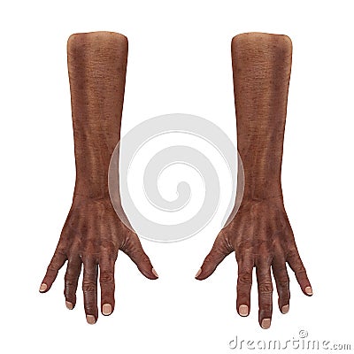 Wrinkled on old african man hand on white. 3D illustration Cartoon Illustration