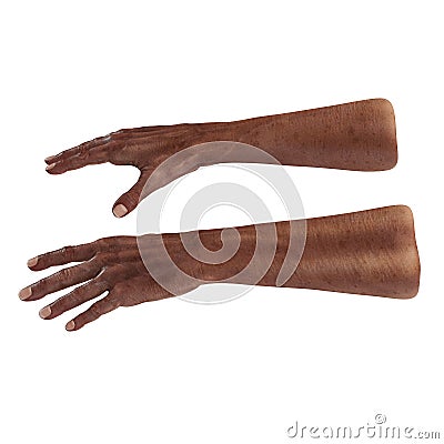 Wrinkled on old african man hand on white. 3D illustration Cartoon Illustration