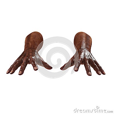 Wrinkled on old african man hand on white. 3D illustration Cartoon Illustration
