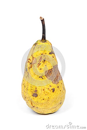 Wrinkled and rotten yellow pear Stock Photo