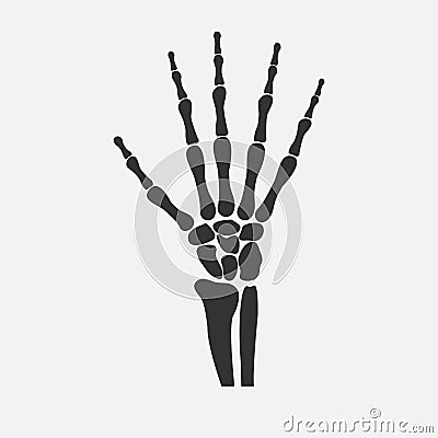 Wrist hands bones Vector Illustration