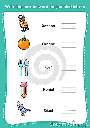 Write the correct word the jumbled letters Vector Illustration