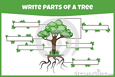 Write parts of a tree. Think and write. Learning words. Vector Illustration