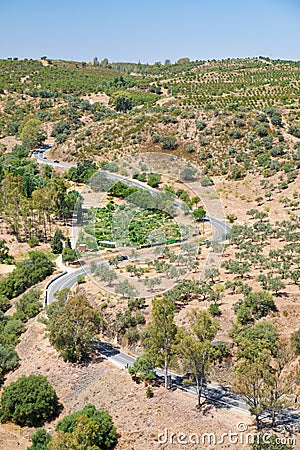 The writhing road winding among olive orchards on the hills. Baixo Alentejo. Portugal Stock Photo