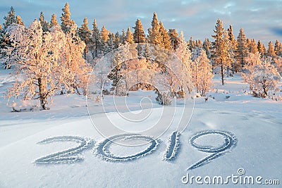 2019 written in the snow, snowy trees winter landscape in the background Stock Photo