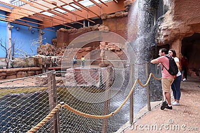 Interior of the modern Africarium with artificial waterfall in Wroclaw Zoo Editorial Stock Photo