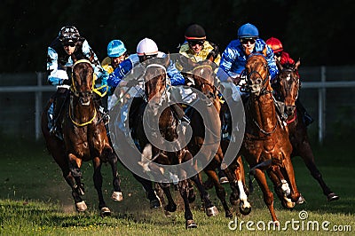 horse racing Editorial Stock Photo