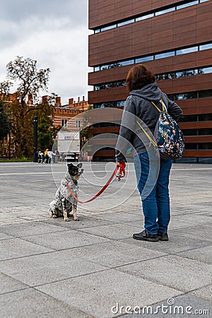 Dog parade at city center with hundreds of barking and smiling dogs Editorial Stock Photo