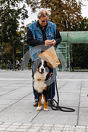 Dog parade at city center with hundreds of barking and smiling dogs Editorial Stock Photo