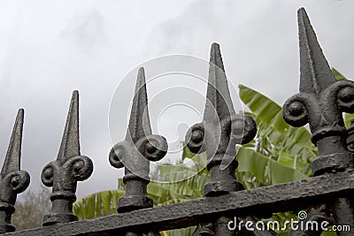 Wrought iron fence in city New Orleans Stock Photo