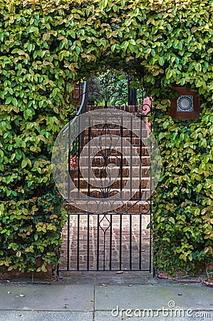 Wrought Iron Gate Entrance to Courtyard Stock Photo