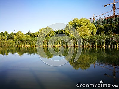 The wuhu center garden under the sun Editorial Stock Photo