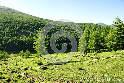 Wutai Mountain scenery Stock Photo