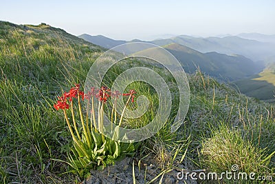 Wutai Mountain scenery Stock Photo