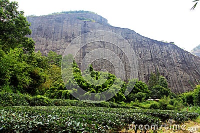 Wuyi mountain , the danxia geomorphology scenery in China Stock Photo