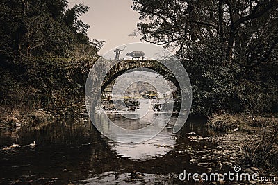 Old man leading a bull on an arch bridge over a pond in Wuyuan, China Stock Photo