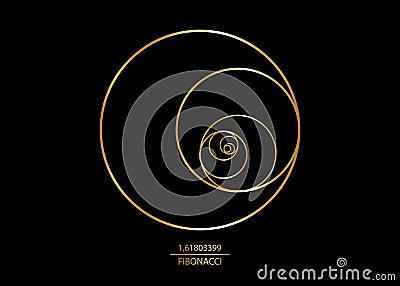 Fibonacci Sequence Circle. Golden ratio. Geometric shapes spiral. Circles in golden proportion. Futuristic minimalist design Vector Illustration