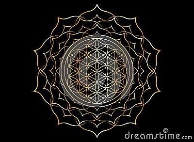 Flower of Life, Yantra Mandala in the golden lotus flower, Sacred Geometry, Metatron cube. Bright luxury symbol of harmony sign Vector Illustration