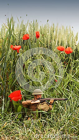 WW1 soldier in battlefield surrounded by poppies Stock Photo