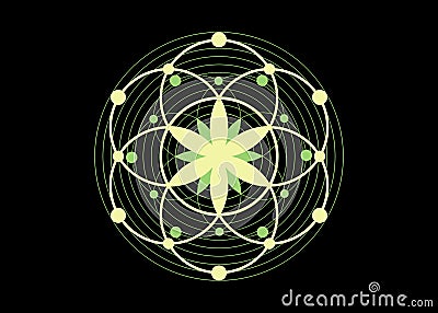 Seed of life symbol Sacred Geometry. Logo icon Geometric mystic mandala of alchemy esoteric Flower of Life. Biologic concept sign Vector Illustration