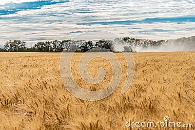 Wymark, SK- Sept 8, 2020: Single combine harvesting wheat in a field at sunset in Wymark, Saskatchewan Editorial Stock Photo