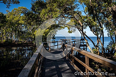 Wynnum Mangrove Boardwalk in Brisbane, Queensland, Australia Stock Photo