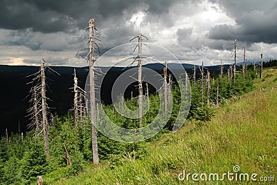 Wysoki Grzbiet in the Jizera Mountains Stock Photo