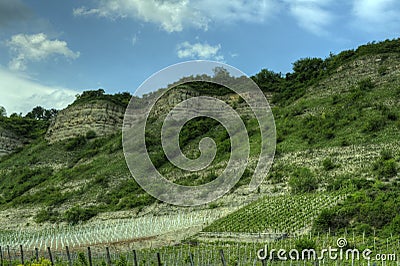 WÃ¼rzburg, Germany - Vineyard rockface Stock Photo