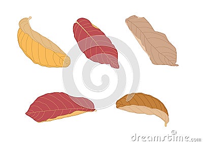 Dry leaf Brown colorful seamless on white background Cartoon Illustration