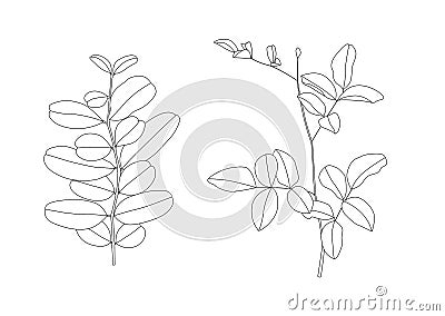 Lined pattern leaves are a bouquet fresh and black line Single leaf pattern black Bring to color decorate Cartoon Illustration