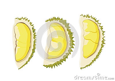 Durian fruit colour yellow and ripe durian piece Cartoon Illustration